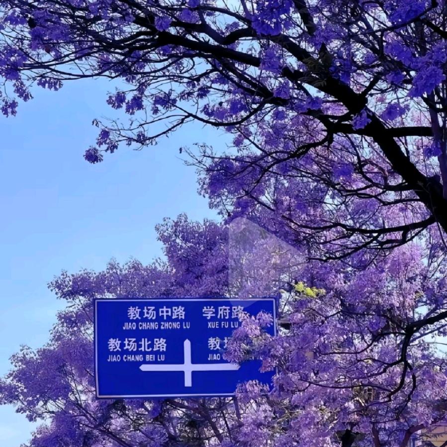 我喜欢这个☺️