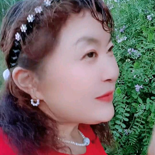 思念！的玫瑰