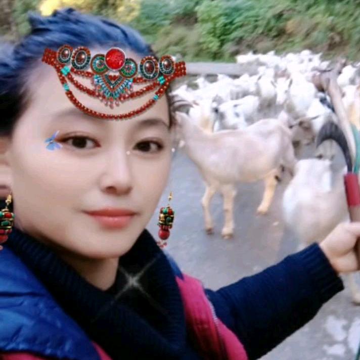 喜羊羊