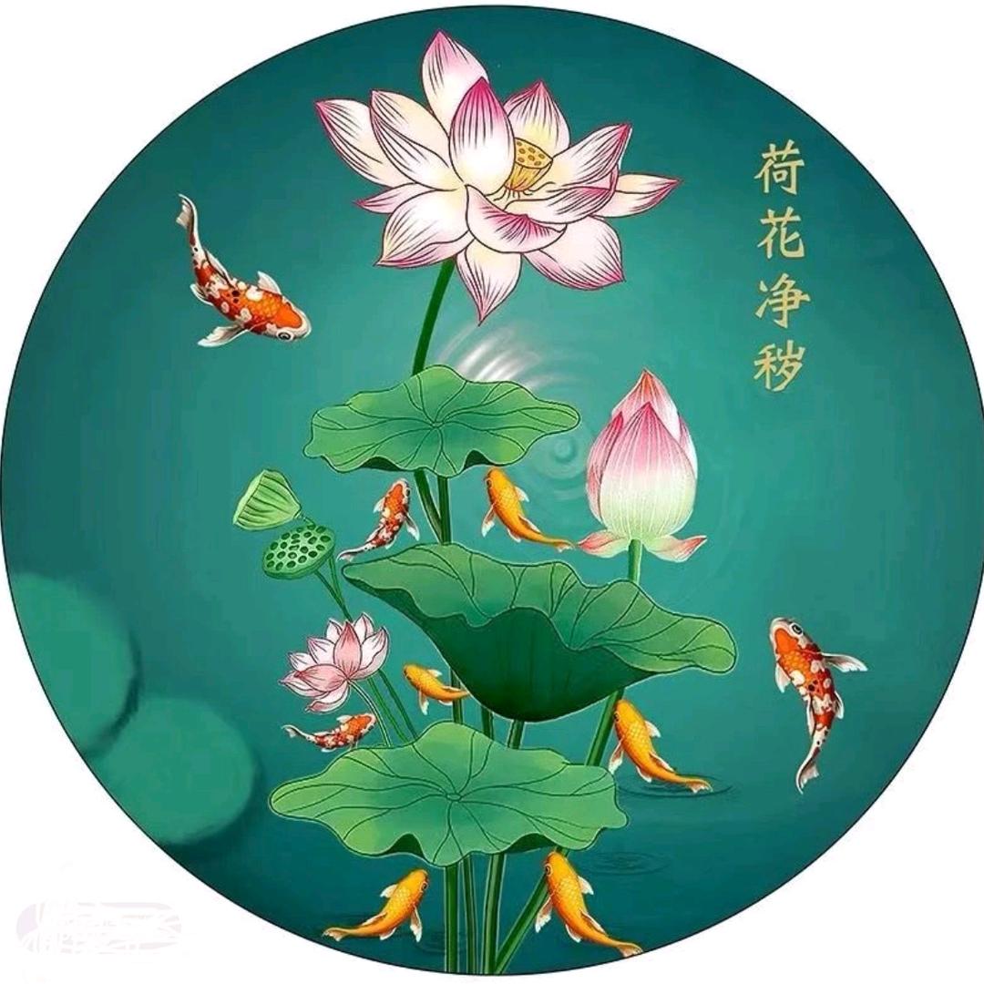 好运莲莲🍀
