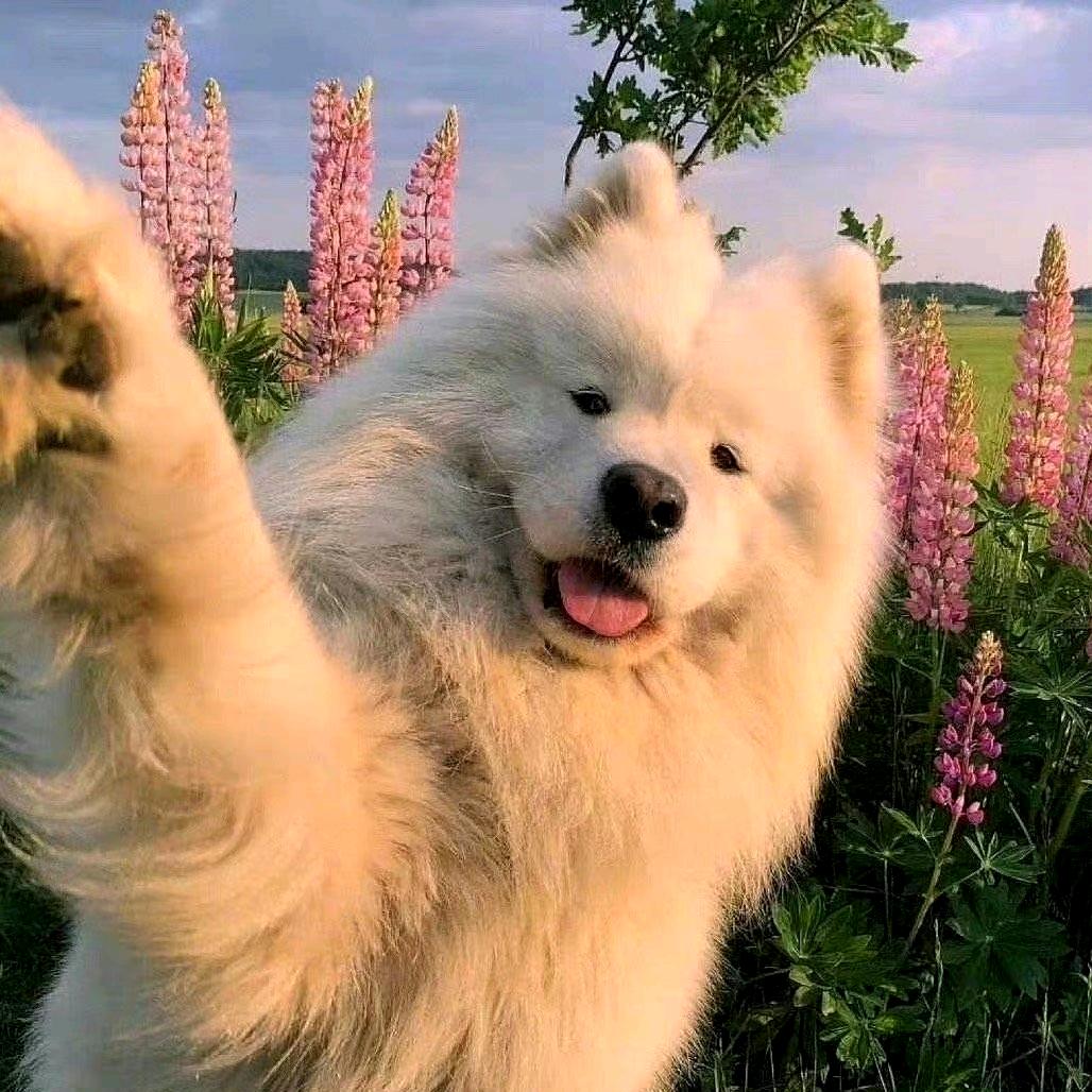 77