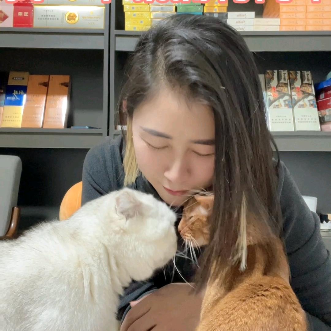 波姐家的一堆猫狗