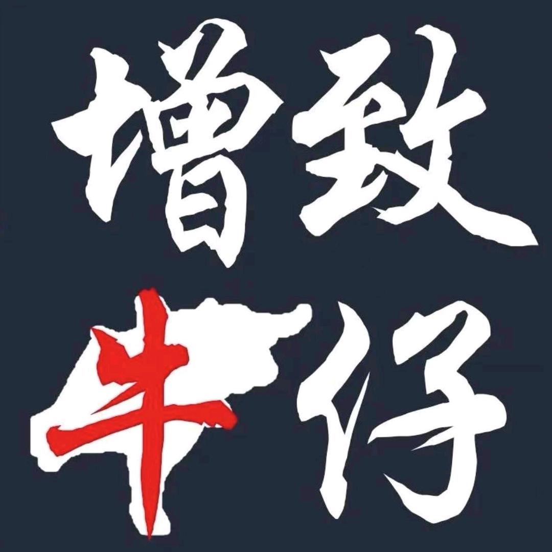 增致牛仔ZENGZHI女装旗舰店