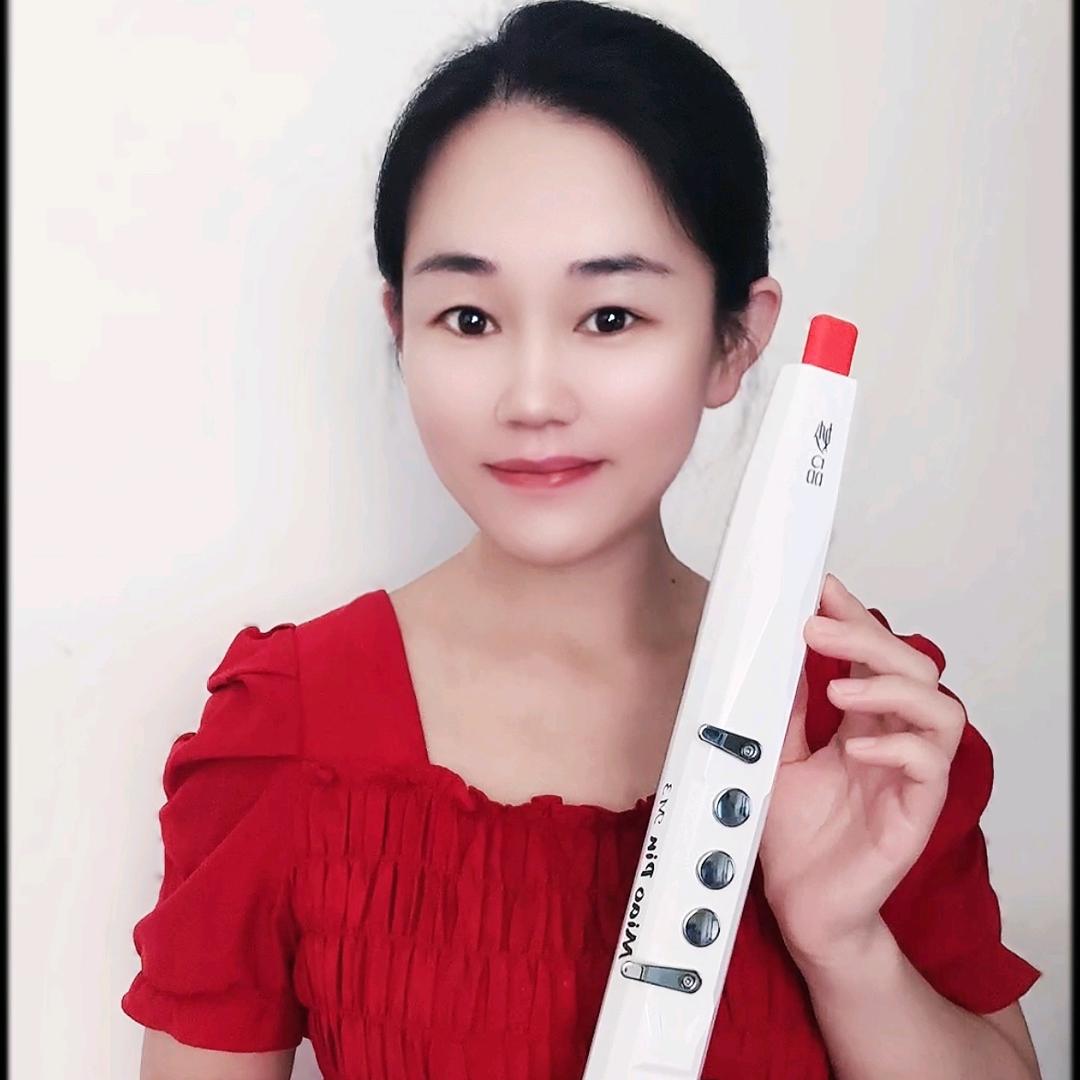 杰森乐器-燕子电吹管
