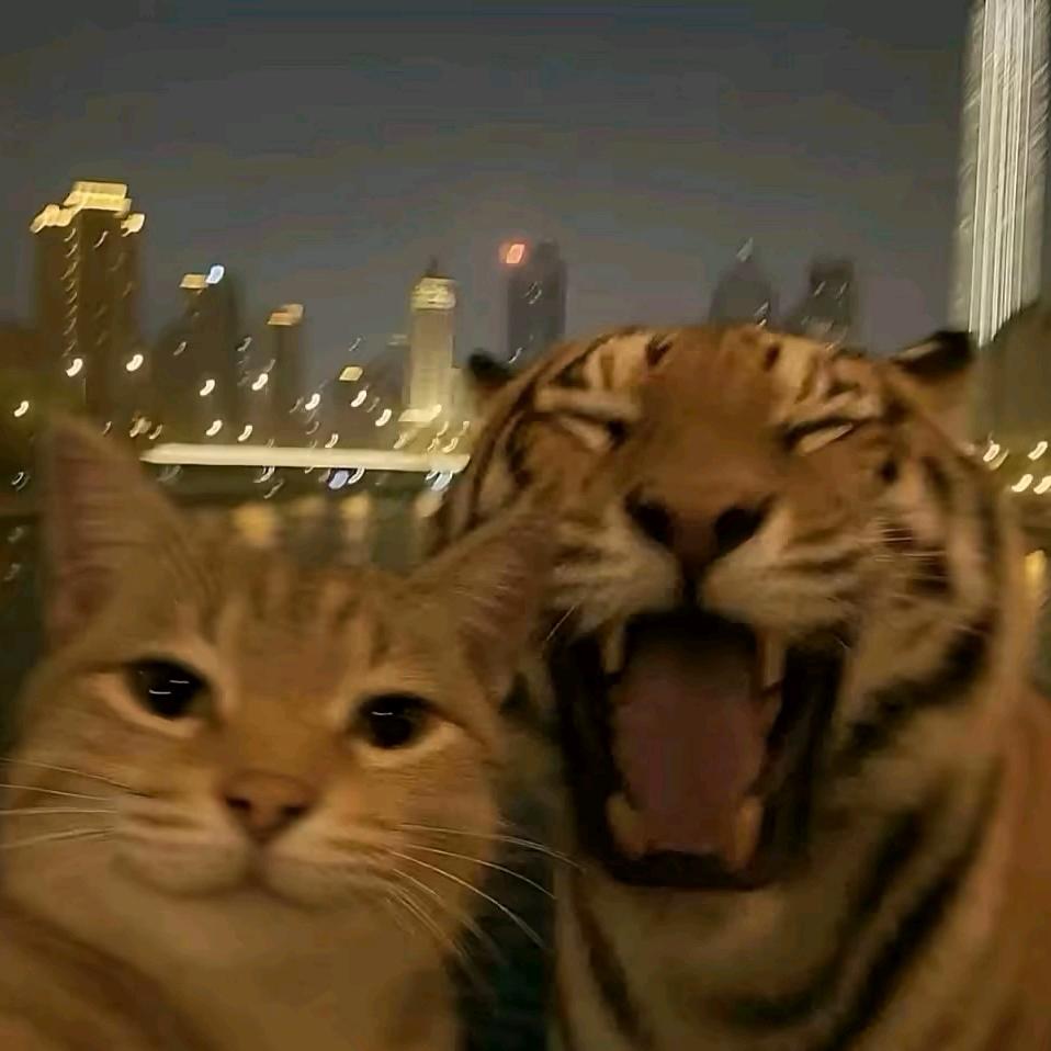 小迷糊