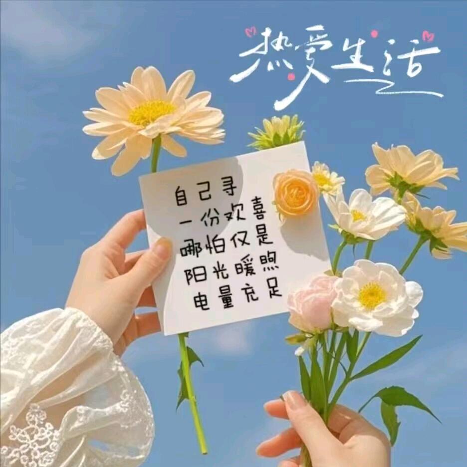 ℳ̶̶̶̶♡̶҉酷野阿姨ℳᥫᩣ
