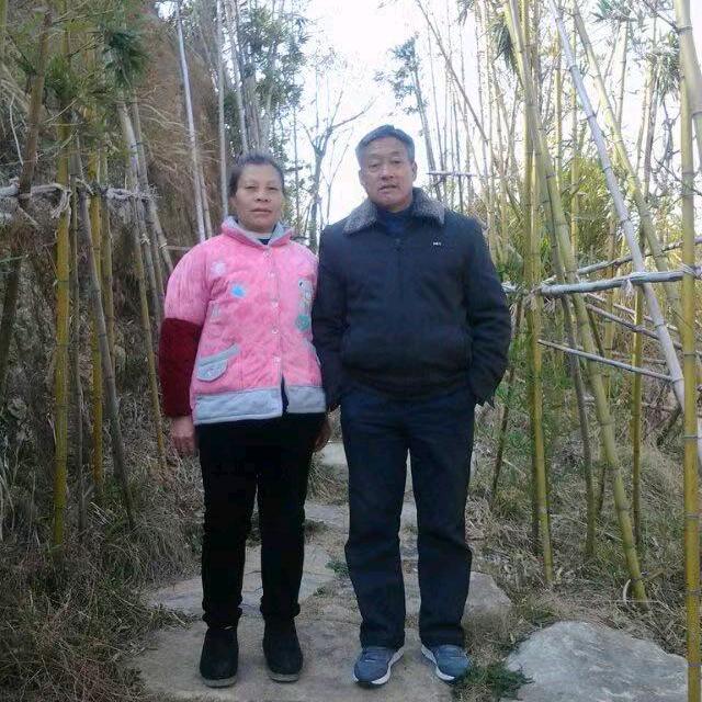 王碧云