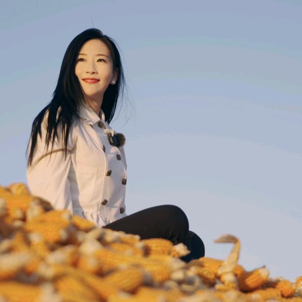 联达种业米米