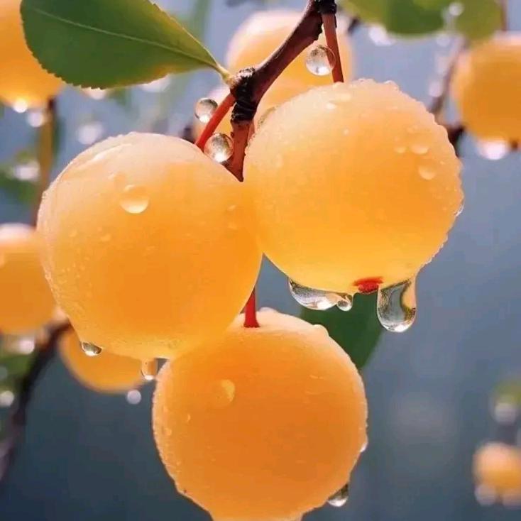 包容