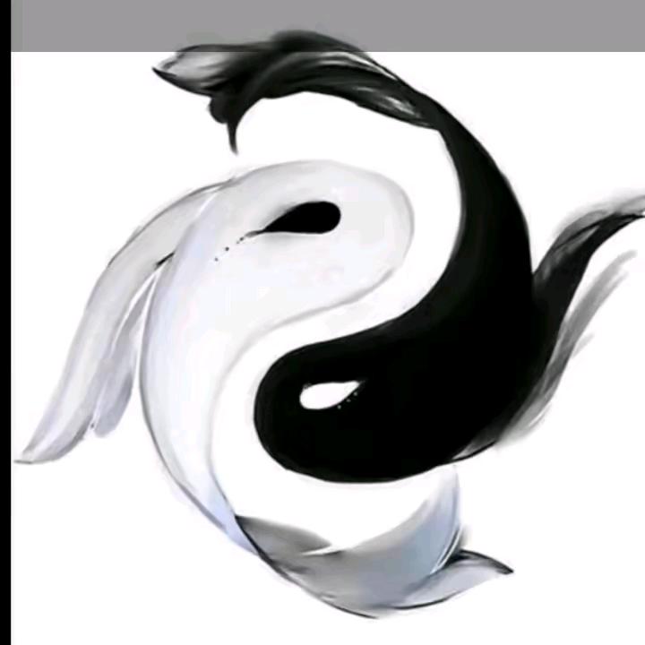 禅曦国学文化
