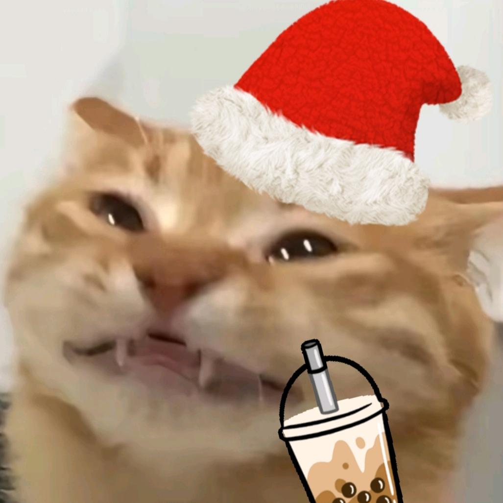 九猫meme
