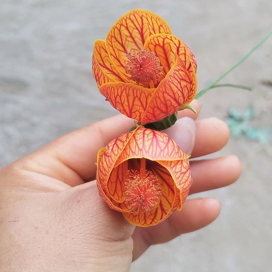 缘起缘灭看心情～请不要连赞噢