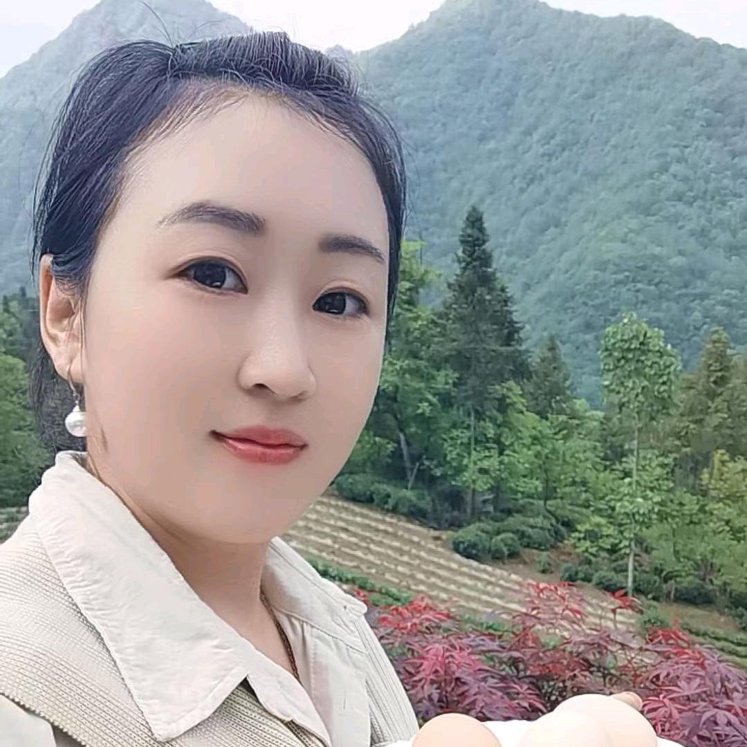 秦巴安康土特产