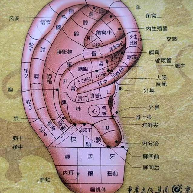 郝振元