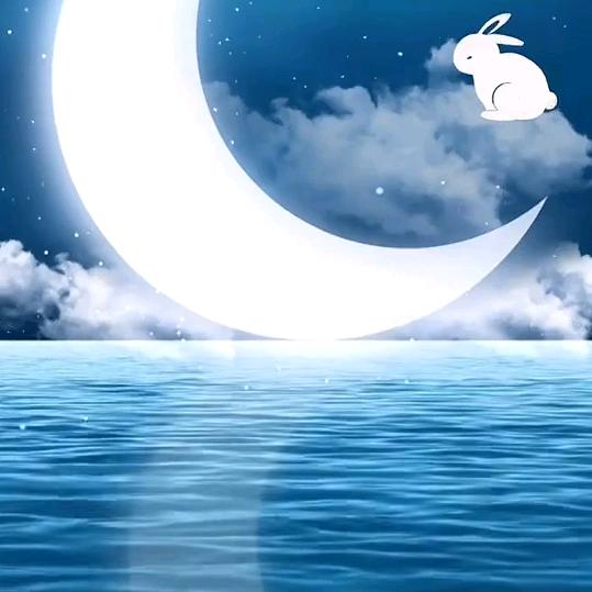 ꧁💞水中℘望月💞꧂