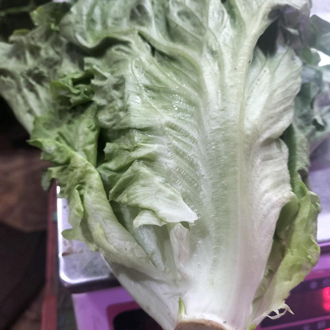 卖菜大哥