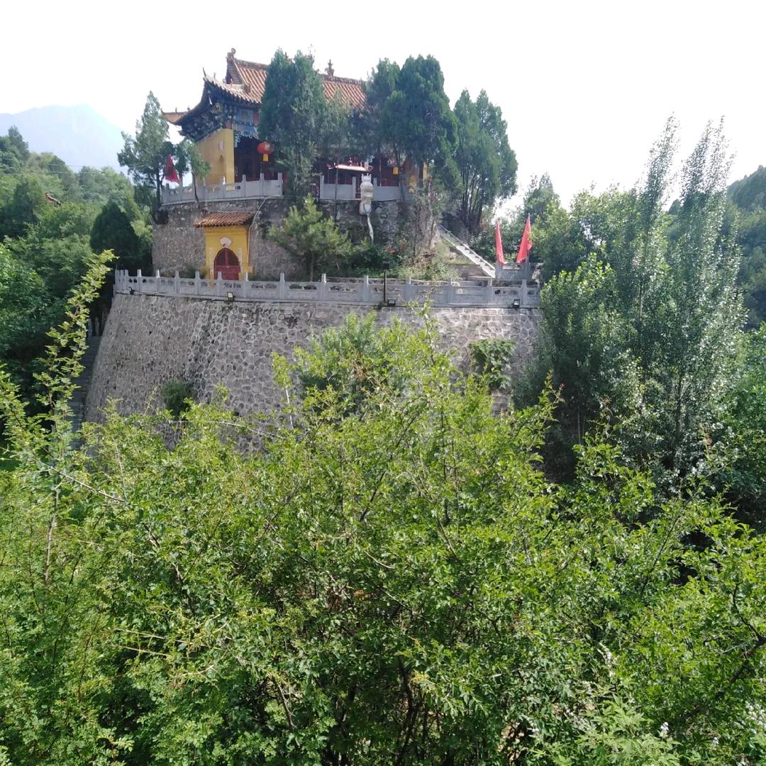 志武