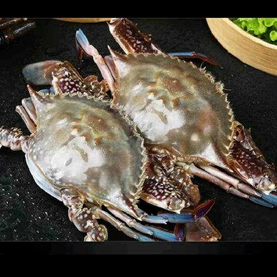 丹东东港杨大叔鲜生
