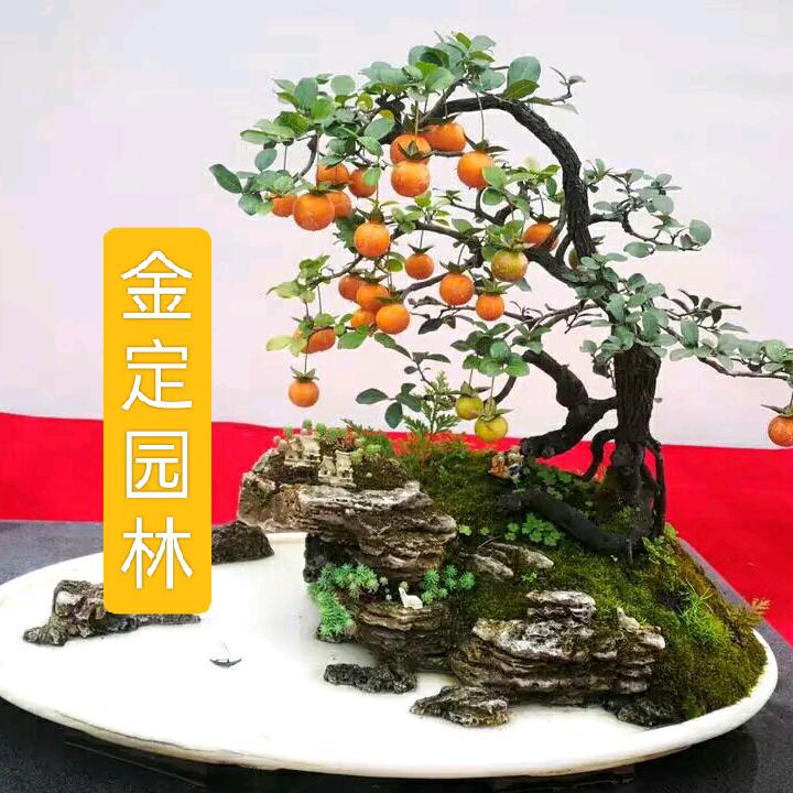 好想约会