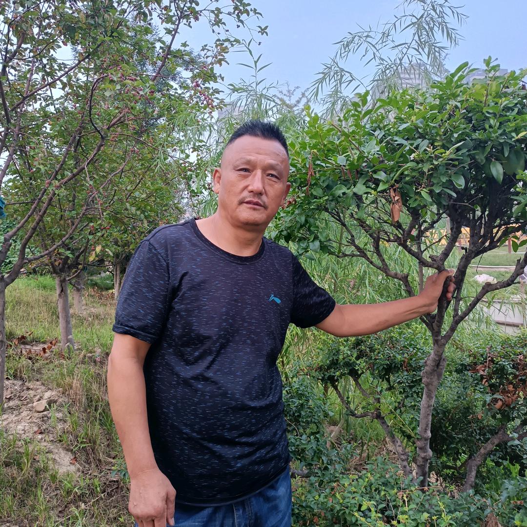 参战兵哥(每天早上7点10分直播)