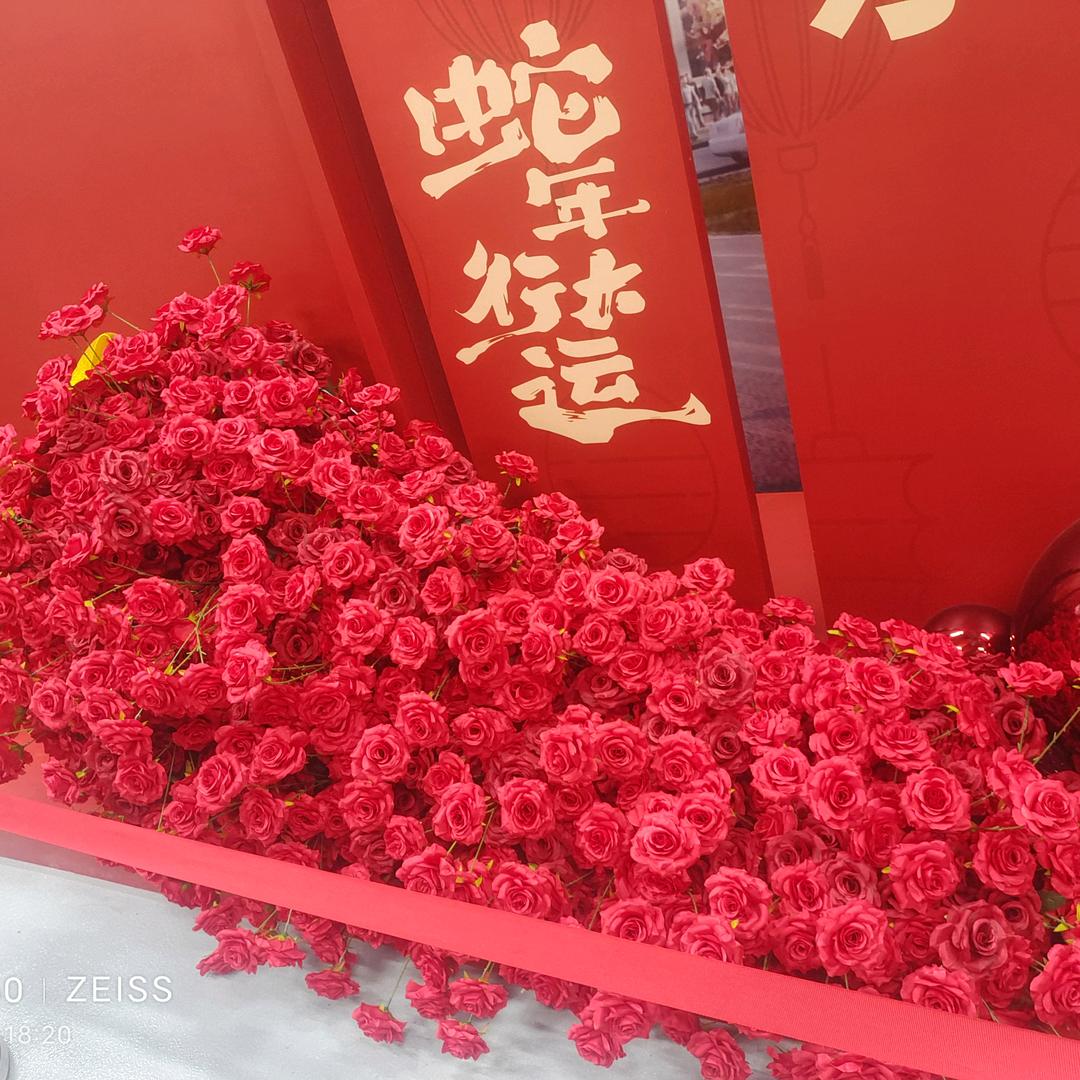 美好心情🥰🥰🥰🥰🥰🥰