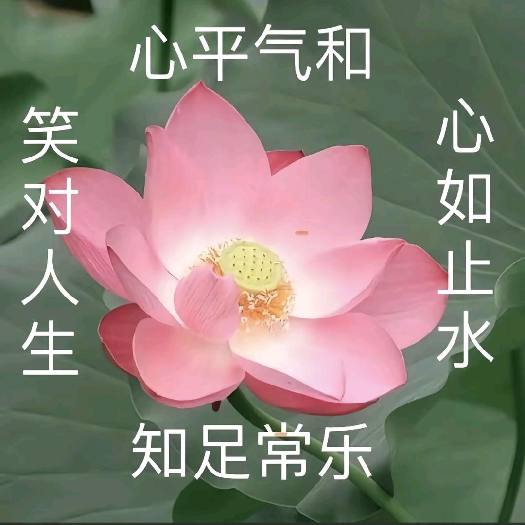 笑对人生