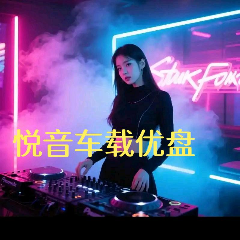 悦音车载优盘（定制➕私信）