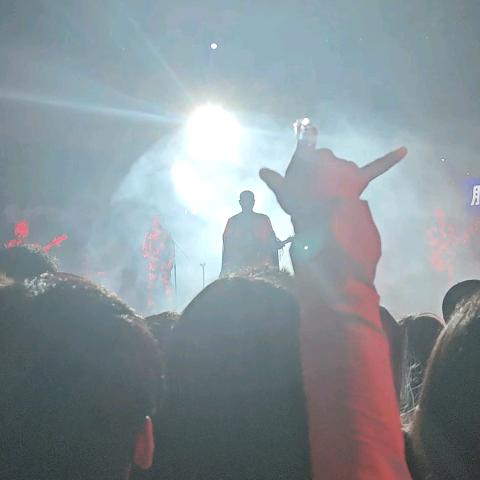 爱冲live的小鱼