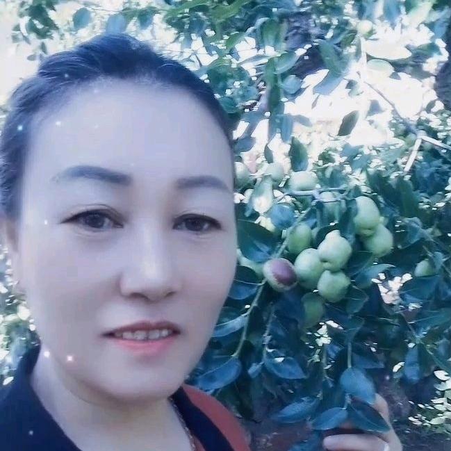 小鸟依人