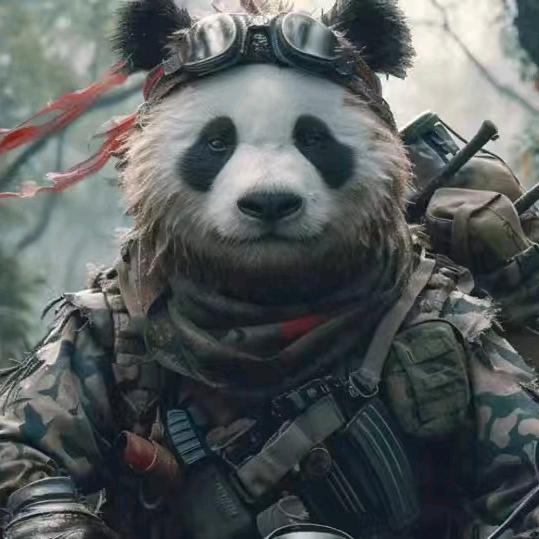 熊猫军事