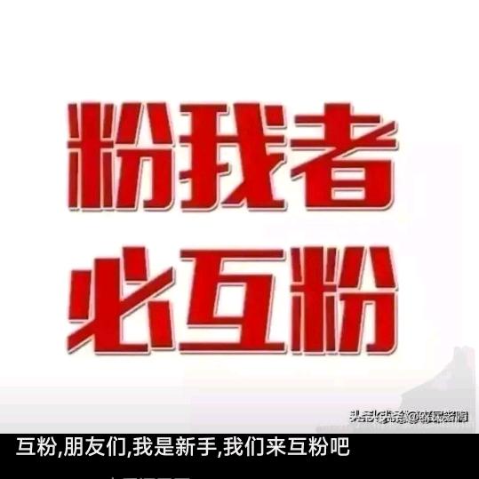 互粉直播间