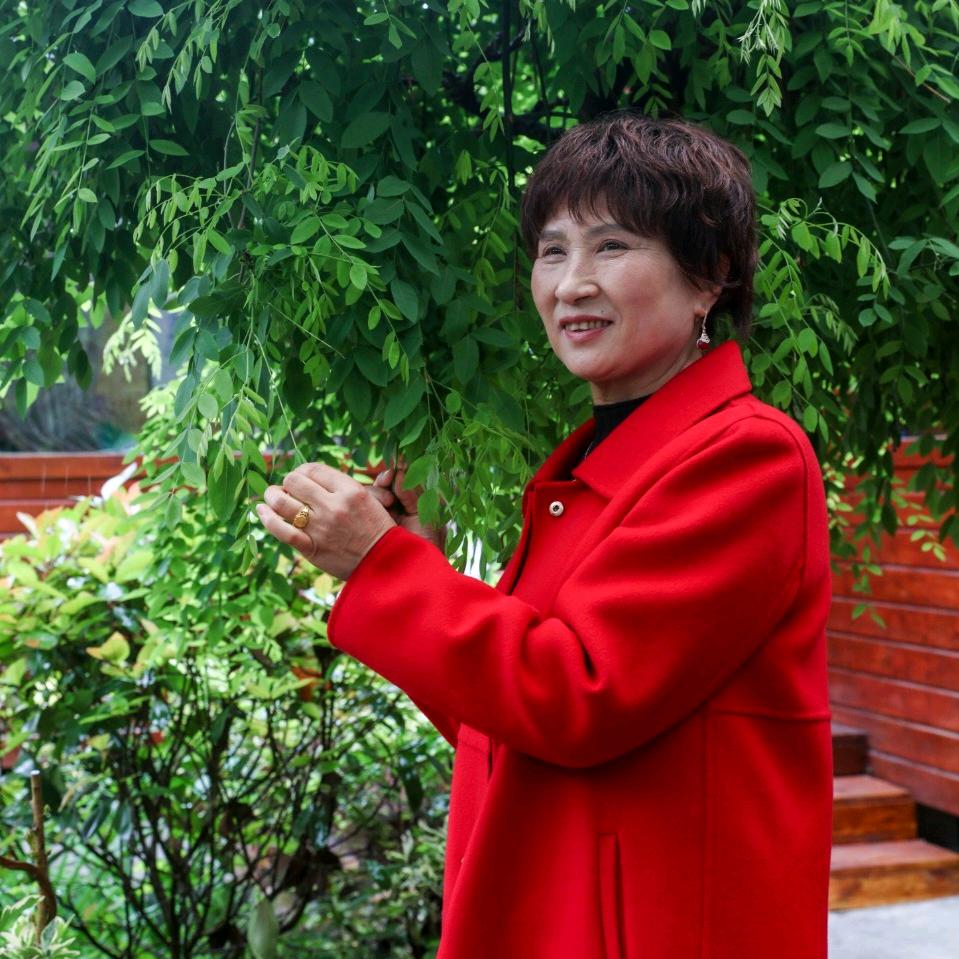 灿烂花开