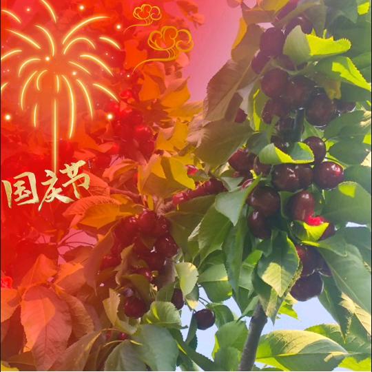 一只大松鼠