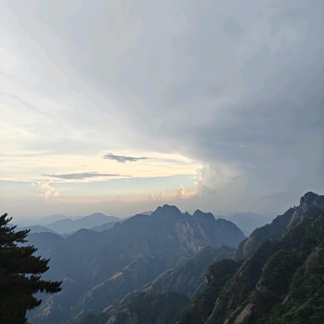 🌏纵观世界