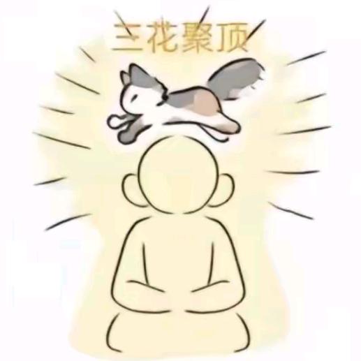 三花动漫社