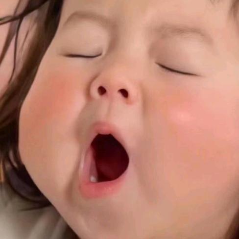 小困包在这里