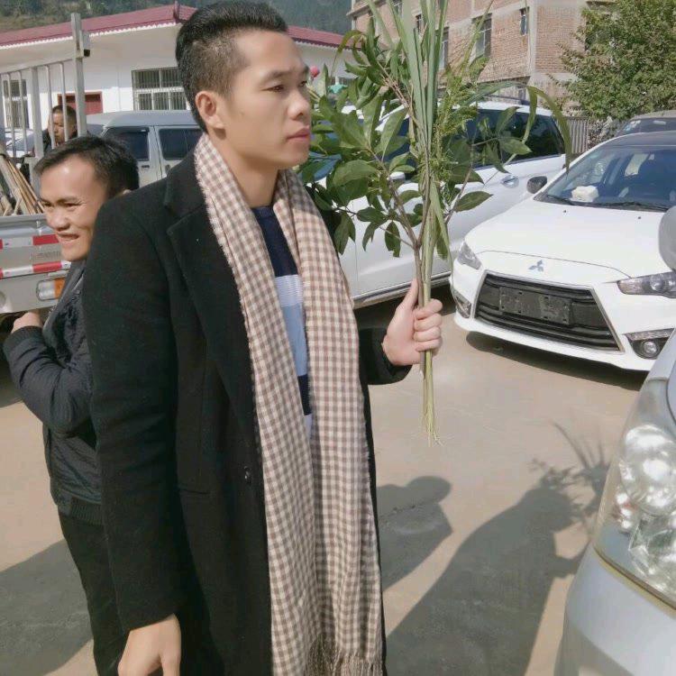 宿醉孤独的狼。