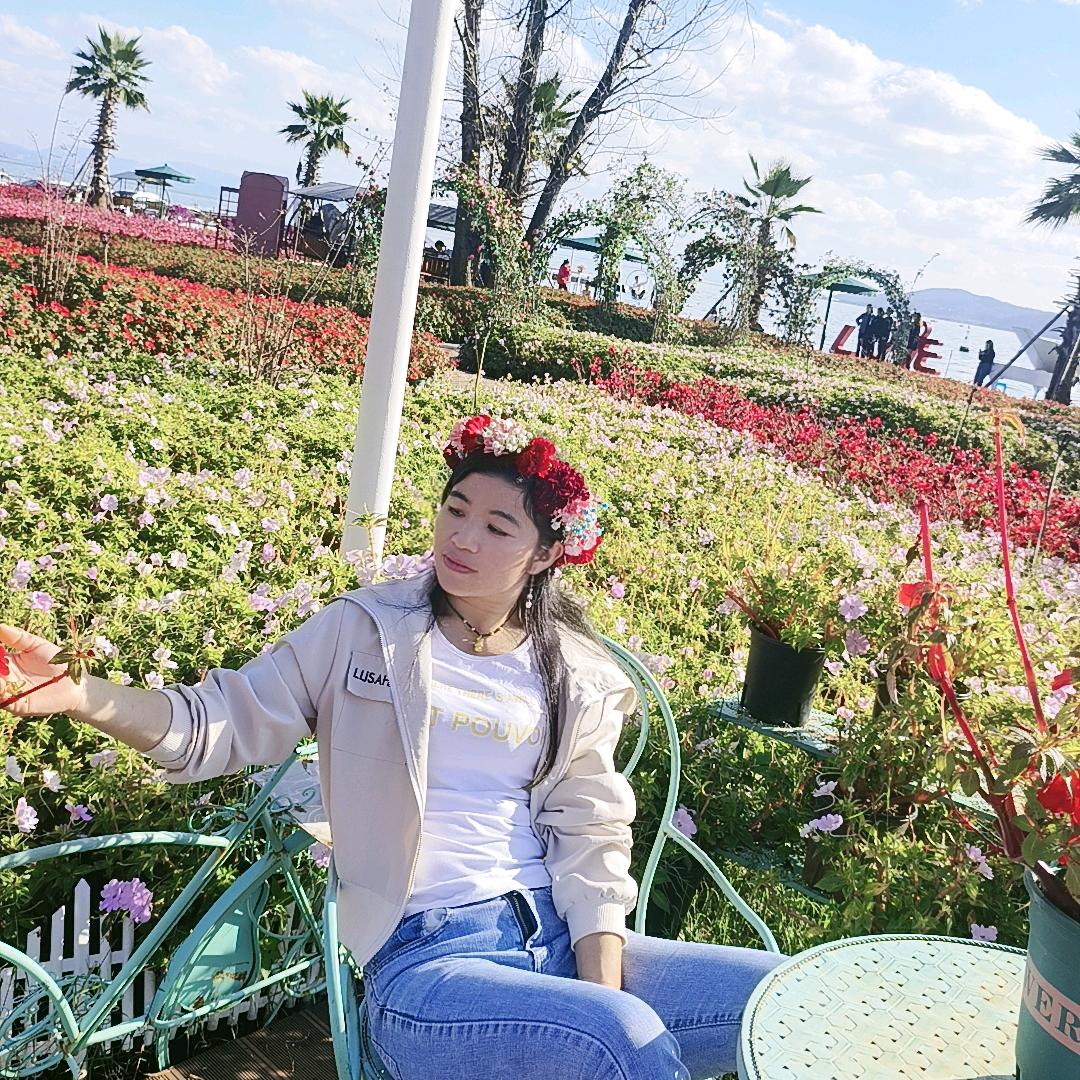 凤🍒凤