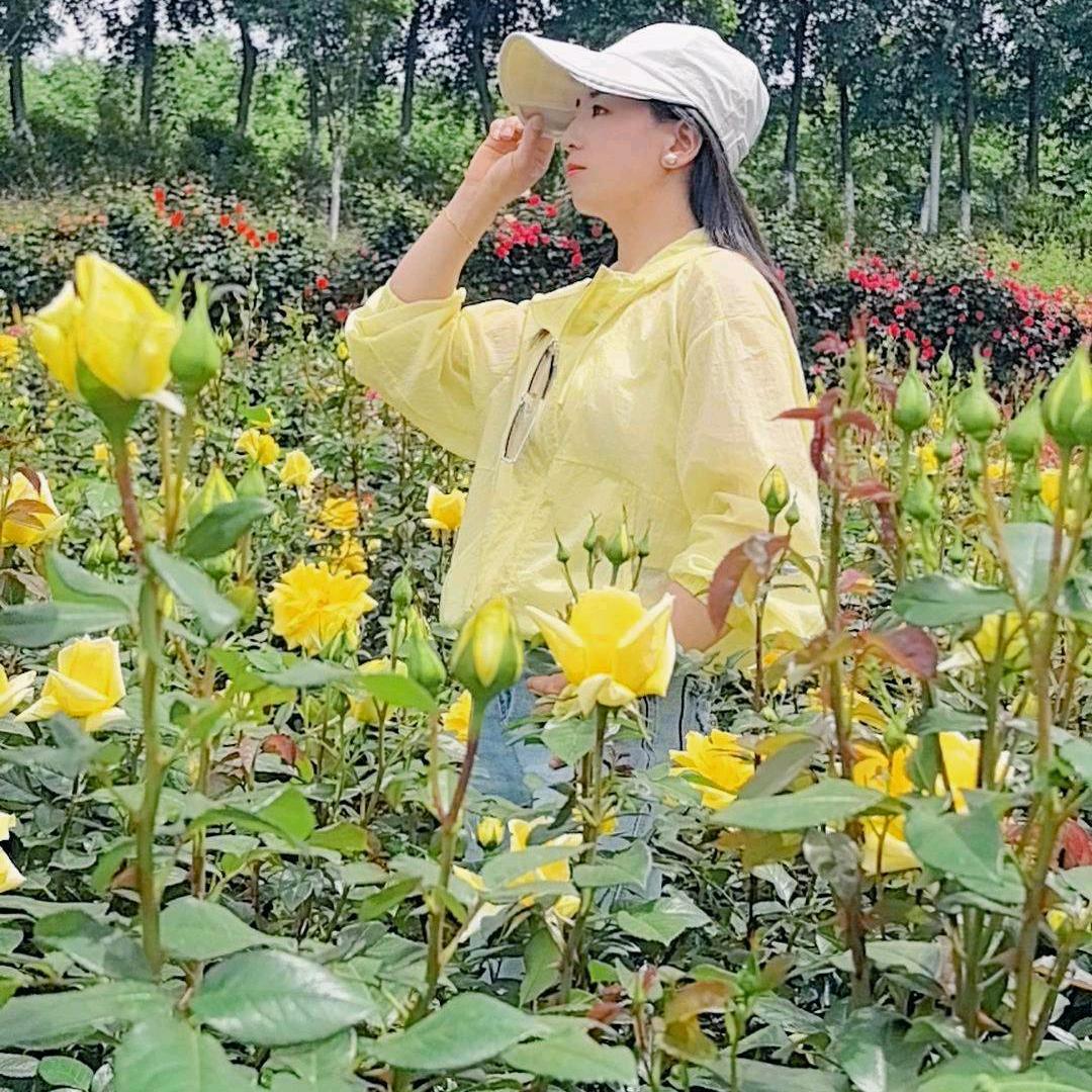 雾里看花