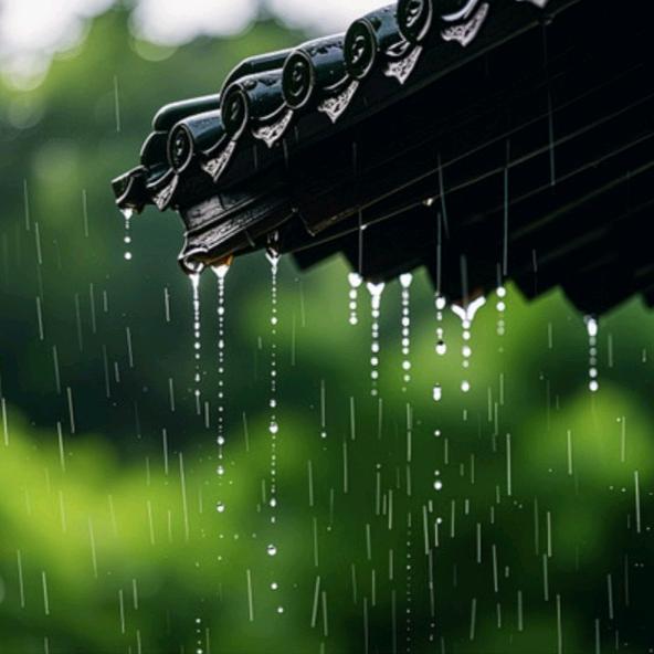 枫林听雨