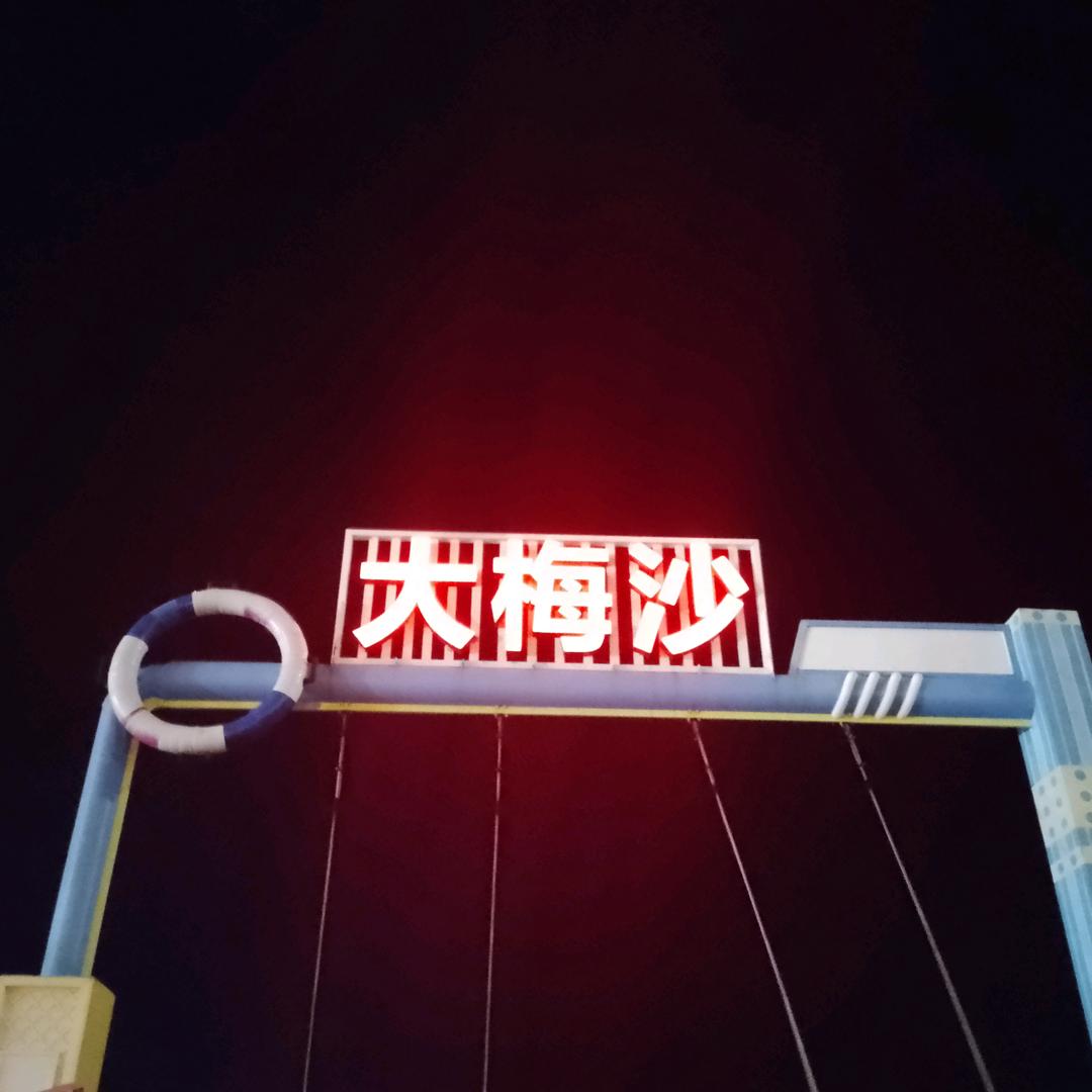 南总