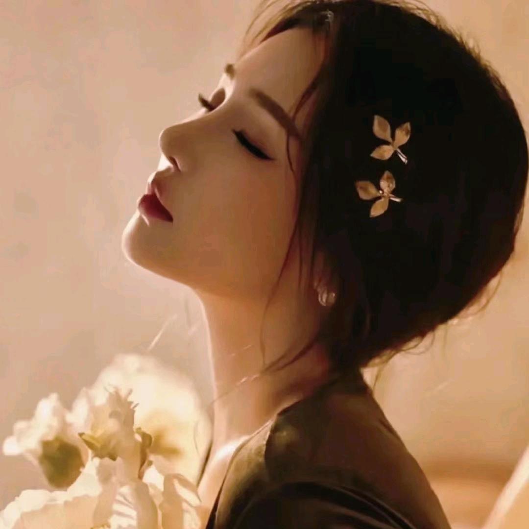温暖🌻