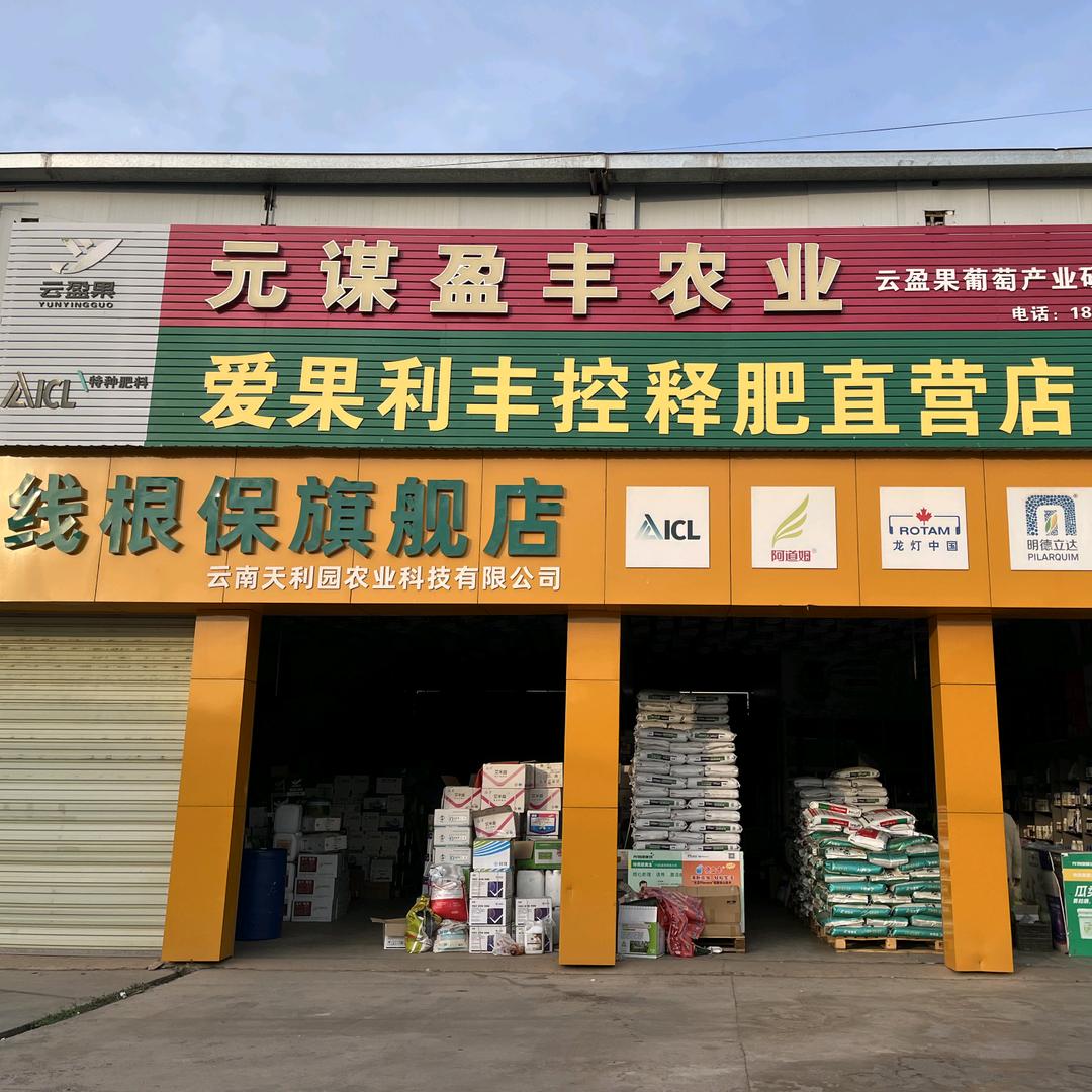 元谋盈丰小吴