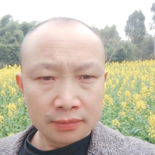 刘刚
