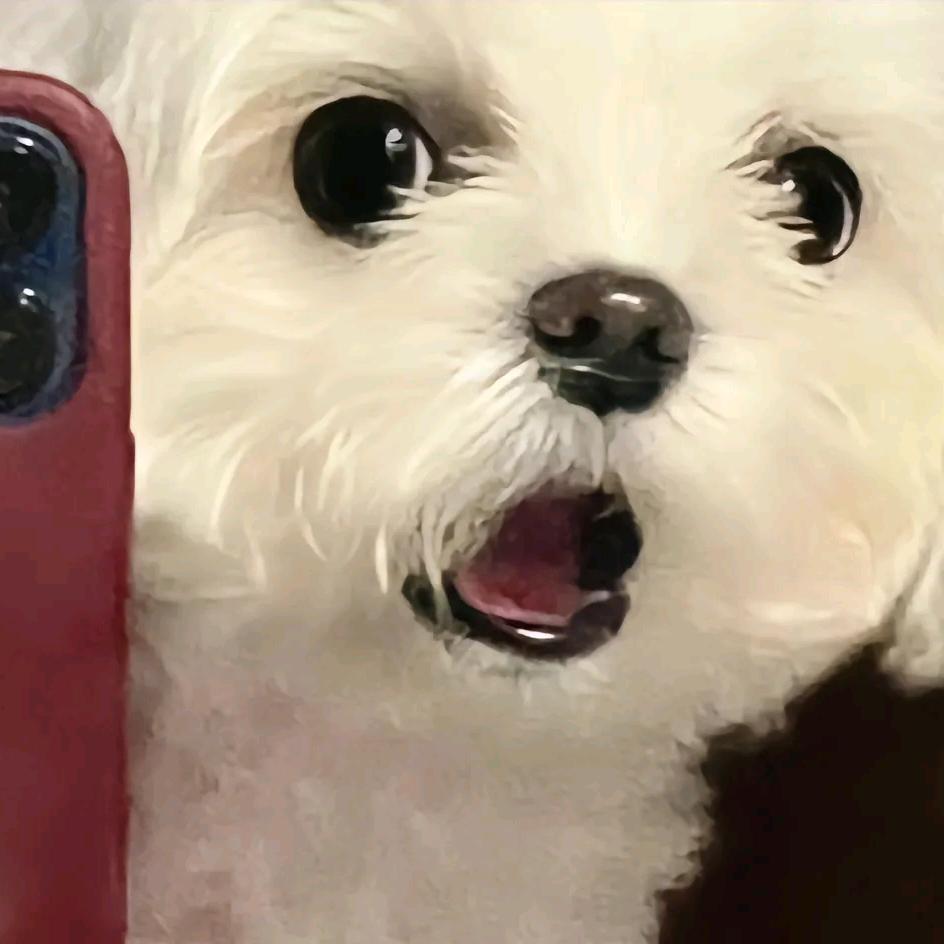 富贵小狗🐶（狗皇）