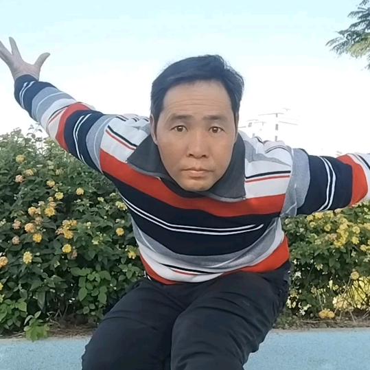武术百果
