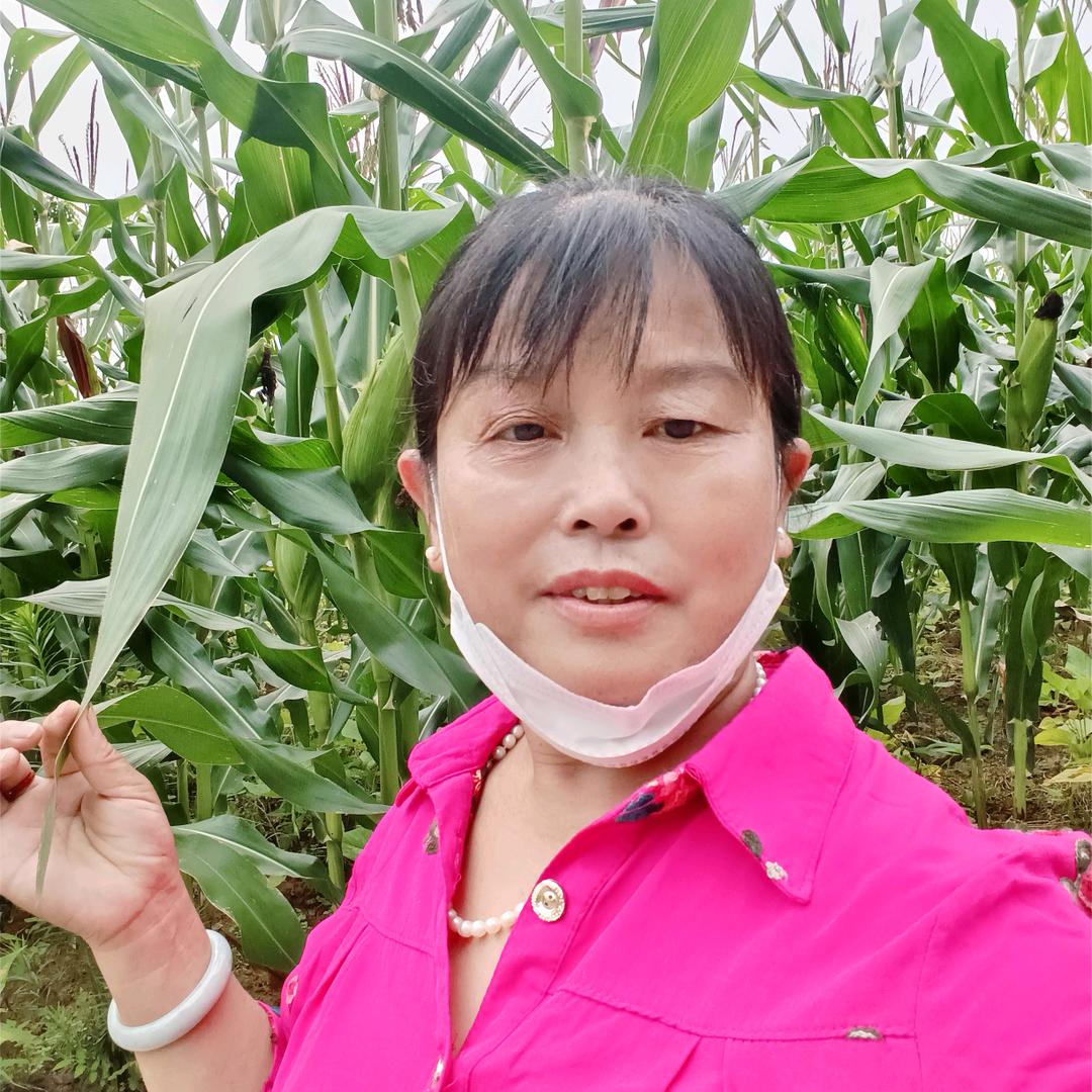 张园桃