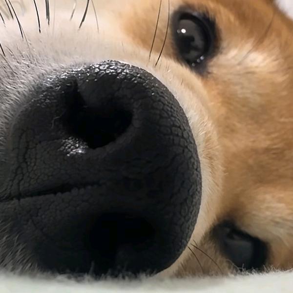 三井