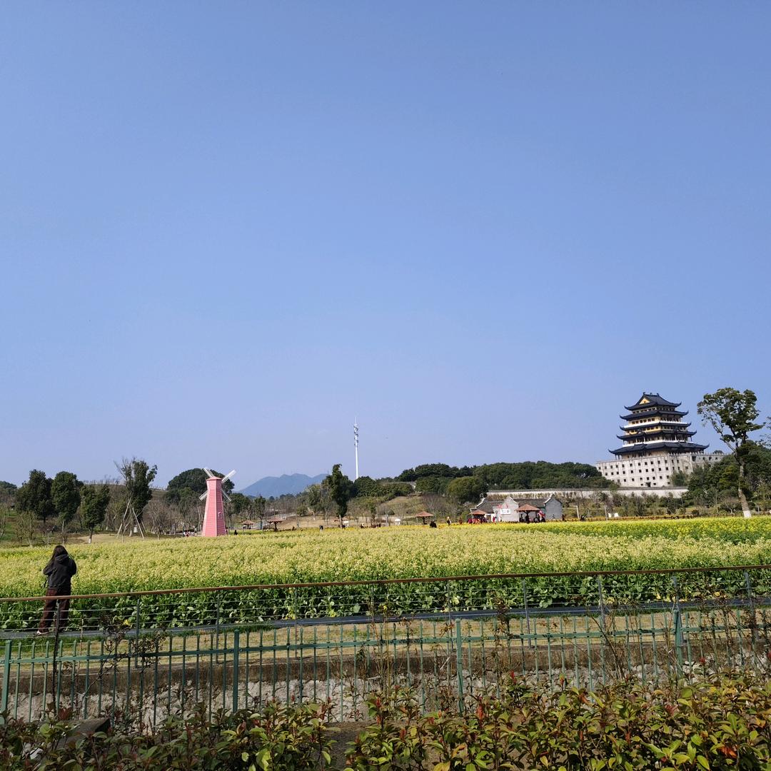 夏茉