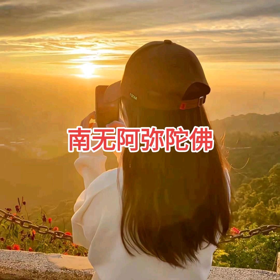 啄木鸟专卖店